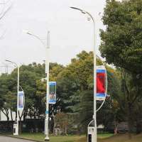 AC LORA system Smart street lighting pole with CCTV camera,Wifi , Power Charger